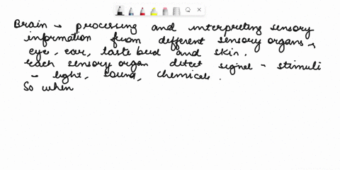 the-brain-is-able-to-interpret-nerve-impulses-coming-from-sensory-receptors-as-vision-hearing-taste-67685