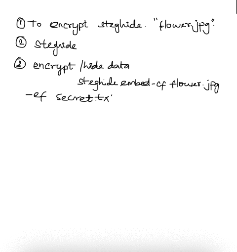 your-task-is-to-perform-and-document-encryption-of-data-at-rest-and-of-an-image-using-gnupg-or-veracrypto-for-the-data-and-steghide-for-the-image-the-requirements-for-your-work-are-use-p55wo-12894