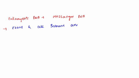 mature-mrna-from-a-eukaryote-would-contain-each-of-these-features-except-which-of-the-following-a-ex-14262