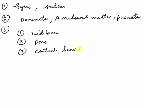 please-answer-all-question-1a-fold-of-braln-tissue-is-known-as-a-gyrussulcus-gyrussutcuswhereas-a-groove-between-folds-of-braln-tissue-ls-known-as-a-2number-the-three-meninges-that-cover-the-38322