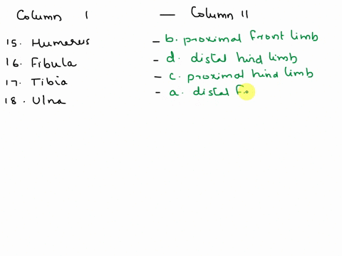 78chapter3-column-ii-a-distal-front-limb-bproximal-front-limb-cproximal-hind-limb-d-distal-hind-limb-e-joint-in-front-limb-f-joint-in-hind-limb-gdistal-part-of-front-and-hind-limbs-columnl-1-01305