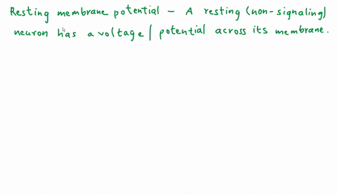 resting-membrane-potential-of-a-neuron-is-usually-measured-at-________-a-55-mv-b-100-mv-c-75-mv-d-40-mv