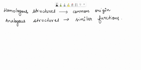 5. Use the following diagram to demonstrate homologous and...