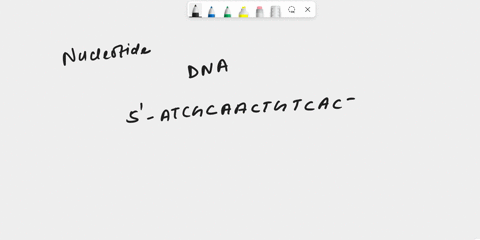 q5-what-is-the-nucleotide-sequence-of-the-dna-strand-that-is-complementary-5-atcgcaactgtcacta-3-why-does-dna-contain-thymine-but-not-uracil-briefly-discuss-the-types-and-functions-of-rna_-09105