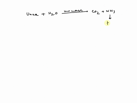 part-vi-identification-of-gram-positive-and-gram-negative-bacteria-lab-activity-4-urease-test-learning-outcomes-explain-the-biochemical-action-ofthe-enzyi-c-uiease-explain-the-results-ufelse-93648