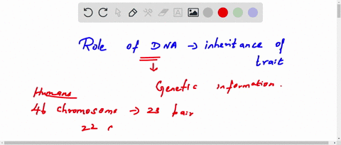 what-is-the-role-of-dna-in-the-inheritance-of-traits