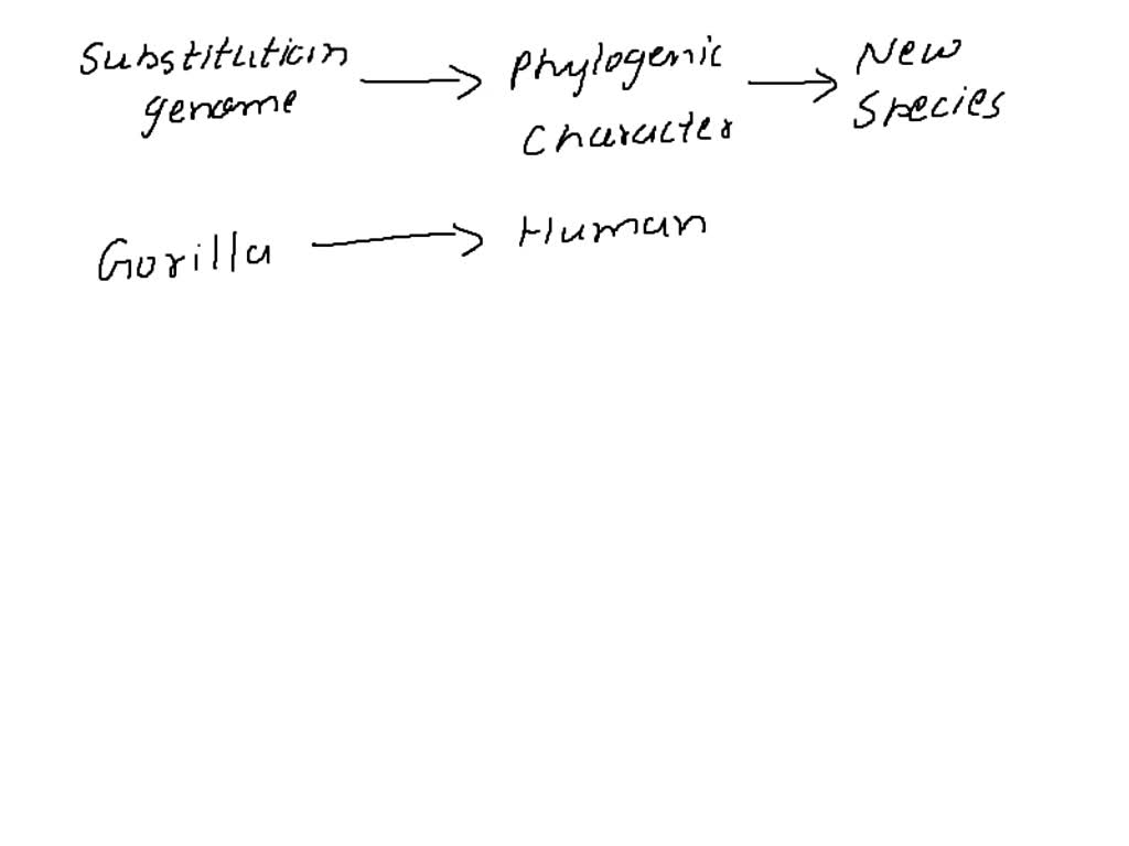 SOLVED: The figure below shows a tree of the Great Apes based on