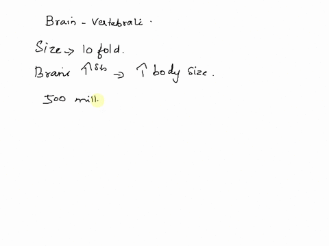 what-general-trends-can-you-identify-in-the-evolution-of-the-vertebrate-brain-10617
