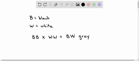 if-black-and-white-true-breeding-mice-are-mated-snd-the-result-is-all-gray-offdpring-what-inheritance-pattern-would-this-be-indicative-of-92154