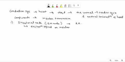put-these-autorhythmic-cells-into-the-correct-order-for-conveying-electrical-signals-through-a-normal-heart-bundle-of-his-internodal-pathway-purkinje-fibers-atrioventricular-node-5-sinoatria-85298