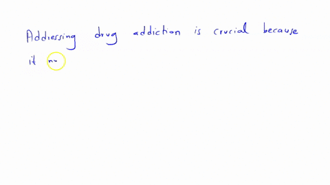 realization-discuss-the-importance-of-addressing-the-drug-addiction
