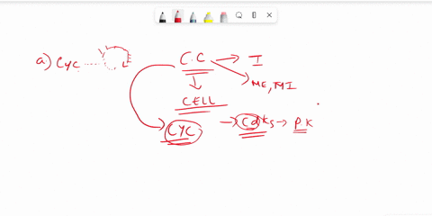 which-of-the-following-statements-about-cell-cycle-regulators-is-incorrect-a-the-concentrations-of-2-34159