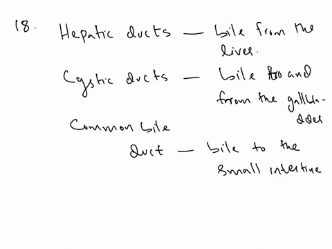 18which-of-the-following-statements-is-correct-a-the-hepatic-ducts-conduct-bile-from-the-liver-the-cystic-duct-conducts-bile-to-and-from-the-gallbladder-and-the-com-mon-bile-duct-conducts-bi-57311