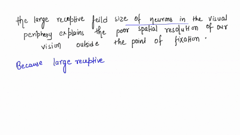 retinal-ganglion-cells-located-at-the-center-of-vision-in-the-fovea-have-the-smallest-receptive-fields-in-those-located-in-the-visual-periphery-have-the-largest-receptive-fields-the-large-re-91963