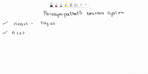 which-of-the-following-parameters-can-be-controlled-directly-by-the-parasympathetic-nervous-system-select-all-that-apply-group-of-answer-choices-heart-rate-av-conduction-time-venous-return-v-75371