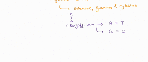ifan-organism-had-genome-made-up-of-20000-base-pairs-how-many-bases-as-ts-cs-and-gs-does-it-actually-have-if-you-know-that-there-are-4000-ts-how-many-cs-as-gs-14905