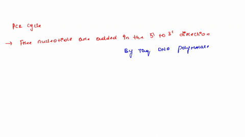 organize-the-following-steps-of-a-pcr-cycle-in-the-correct-sequence_-the-mixture-is-cooled-to-allow-the-binding-of-primers-to-the-end-of-target-dna-sequences_-free-nucleotides-are-added-in-t-74002