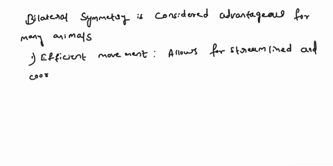 why-do-you-think-bilateral-symmetry-is-an-advantage-for-an-animal-68387