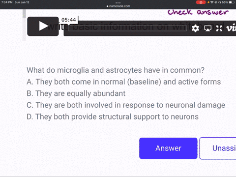 what-do-microglia-and-astrocytes-have-in-common-a-they-both-come-in-normal-baseline-and-active-forms-b-they-are-equally-abundant-c-they-are-both-involved-in-response-to-neuronal-damage-d-the-72324