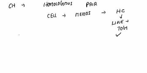 lns-homologous-pair-tetrad-replicated-chromosomes-unreplicated-chromosomes-chromatids-chromosomes-diploid-cell-meiosis-reduce-number-of-chromosomes-otve-homologous-pair-tetrad-replicated-chr-12874