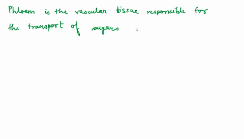 leaves-are-the-sites-of-photosynthesis-in-many-plants-leaves-require-water-from-the-roots-for-photosynthesis-but-other-non-photosynthetic-cells-contained-in-stems-and-roots-require-sugars-th-41136