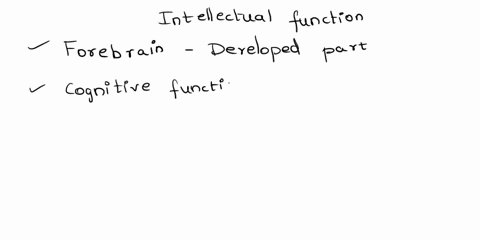 intellectual-functions-like-making-judgments-retrieving-memories-and-paying-attention-depend-primarily-on-tissues-specialized-for-these-purposes-which-are-located-in-the-a-forebrain-b-amygda-25428