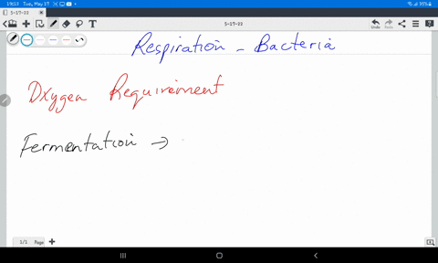 a-bacterium-that-can-only-obtain-energy-by-fermentation-oxygen-independent-reaction-and-cannot-use-oxygen-during-respiration-is-called-a-aerobic-b-anaerobic-c-microaerophilic-d-facultative-a-90282