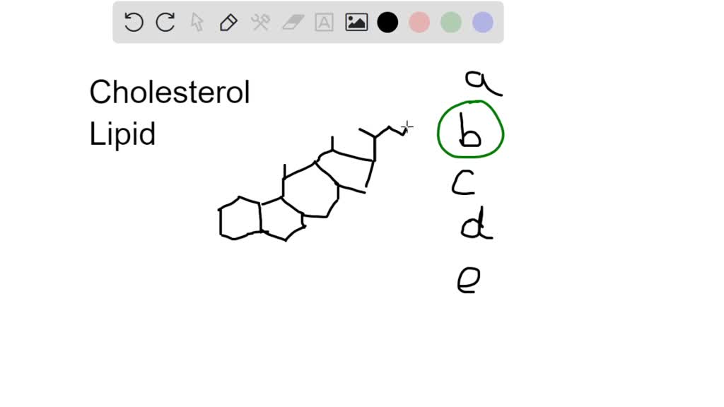 SOLVED: Which of the following best describes the cholesterol molecule