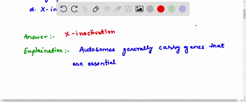 abnormalities-in-the-number-of-x-chromosomes-tends-to-have-milder-phenotypic-effects-than-the-same-a-61786