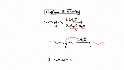 draw-a-steucture-for-the-major-organic-products-of-the-reaction-shown-below-draw-a-structural-formula-for-the-major-organic-products-of-the-reaction-shown-below-1chalexcess-2agoh2oheat-you-d-96351