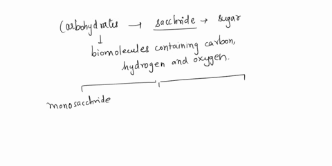what-is-the-general-term-for-any-carbohydrate-monomer-97546