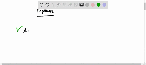 which-part-of-a-nephron-is-out-of-sequence-first-a-glomerular-capsule-b-proximal-convoluted-tubule-c-44387