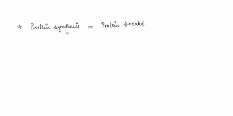 when-protein-synthesis-is-balanced-with-protein-breakdown-in-the-body-we-say-a-person-is-in____-positive-nitrogen-balance-negative-nitrogen-balance-nitrogen-equilibrium-an-unhealthy-state-12326