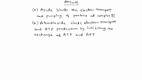 what-is-the-effect-of-each-of-the-following-inhibitors-on-electron-transport-and-atp-formation-by-th-83222