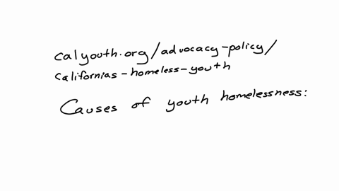 the-project-that-i-have-in-mind-was-working-with-the-youth-as-they-exit-out-of-foster-care-and-provide-them-with-the-essential-skills-that-they-will-need-to-be-self-sufficient-adults-however-im-having