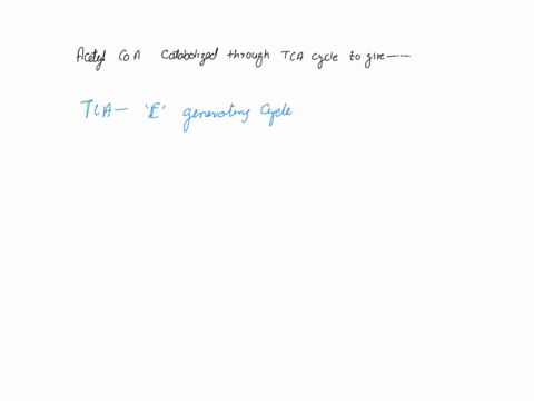 each-acetyl-coa-catabolized-through-tca-cycle-yields-2-co23-nadh-fadh2-and-gtp-atp-0-3-c023-nadh-fadh2-and-igtp-atp-0-2-co2-1nadh-3-fadh2-and-igtp-atp-0-co23-nadh-fadh2-and-igtp-4-atp-52675