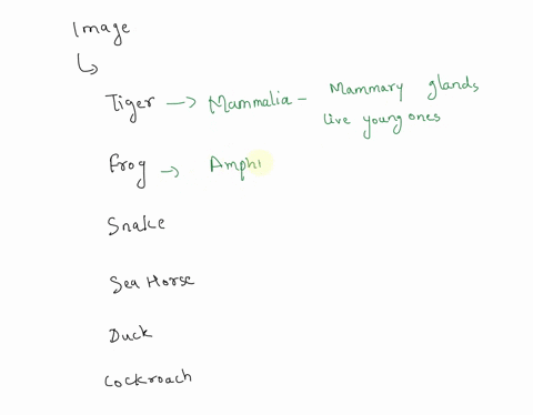 animalia-is-the-largest-kingdom-among-the-five-major-kingdoms-of-classification-they-have-many-specilic-characteristics-which-makes-it-a-unique-kingdom_-based-on-your-knowledge-of-animals-an-69012