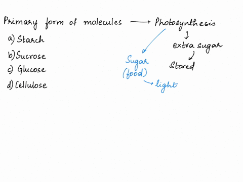 which-of-the-following-molecules-best-describes-the-primary-form-in-which-plants-stockpile-extra-sugar-produced-by-photosynthesis-starch-sucrose-glucose-cellulose-45542