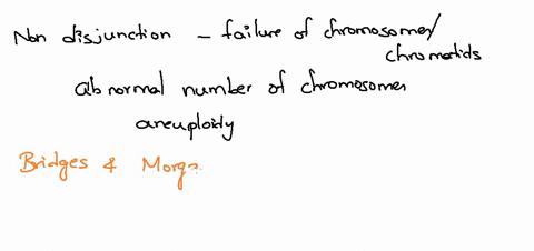 nondisjunction-can-happen-in-either-meiosis-i-or-meiosis-ii-consider-n-1-and-n-1-gametes-involving-chromosome-21-that-are-formed-from-nondisjunction-in-meiosis-i-and-meiosis-ii-select-the-be-79637
