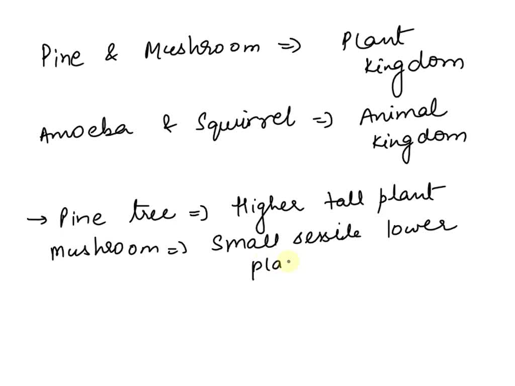SOLVED A pine tree, an amoeba, a mushroom, and a squirrel are all