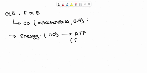 which-of-the-following-statements-is-truemultiple-choice-the-end-product-of-glycolysis-is-acetyl-coa-the-citric-acid-cycle-begins-and-ends-with-pyruvate-nadh2-will-eventually-produce-three-a-34597