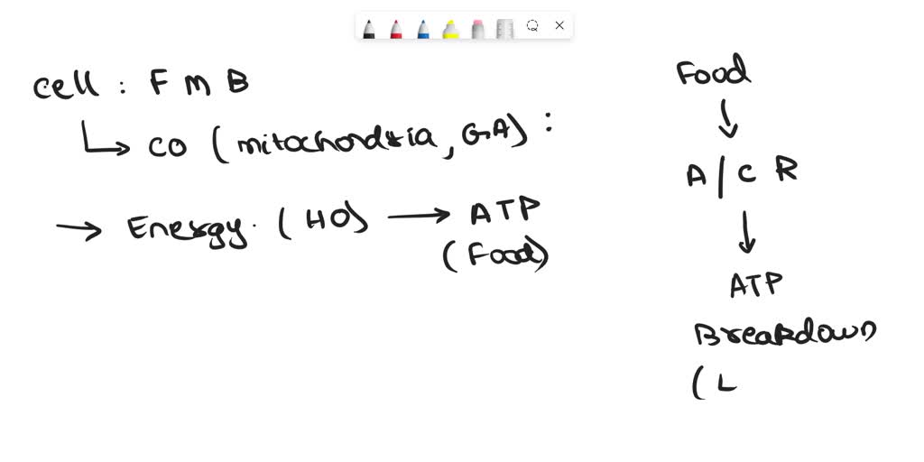 SOLVED: Which of the following statements is true? Multiple Choice The ...