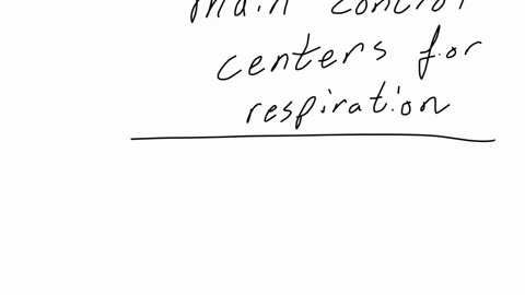 where-are-the-main-control-centers-for-respiration-located-lungs-cerebellum-diaphragm-medulla-obiongata-cerebrum
