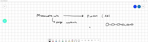 which-of-the-following-molecules-is-not-a-macromolecule-oa-protein-br-glucose-c-lipid-d-carbohydrates-21635