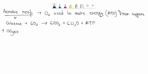 question-1-place-the-following-events-of-aerobic-respiration-in-order-from-beginning-to-end-electrons-are-transferred-to-the-electron-transport-chain-1-2-3-4-5-two-molecules-of-co2-one-atp-a-93013