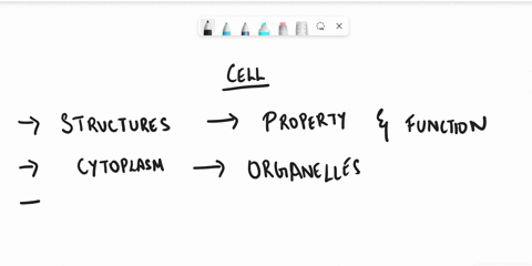 question-13-true-or-false-chloroplasts-are-found-in-all-plant-cells-true-false-37597