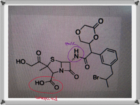 what-functional-group-is-not-present-in-the-structure-shown-below-ho_-ho-selected-answer-ester-alcohol-answers-amine-amide-ester-13786