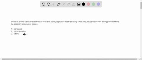 when-an-animal-cell-is-infected-with-a-virus-that-slowly-replicates-itself-releasing-small-amounts-of-virion-over-a-long-period-of-time-the-infection-is-known-as-beinga-persistantb-transform-45464