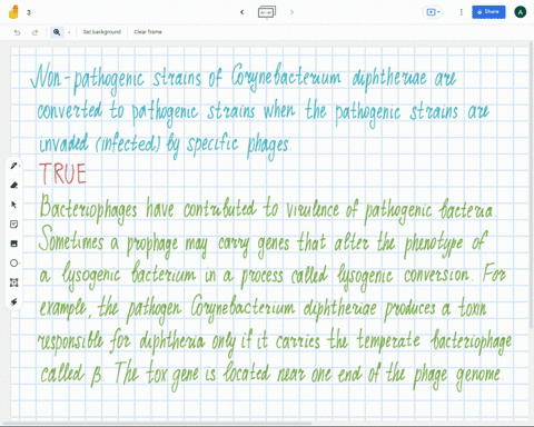 non-pathogenic-strains-of-corynebacterium-diphtheriae-are-converted-to-pathogenic-strains-when-the-pathogenic-strains-are-invaded-infected-by-specific-phages-true-false-62655
