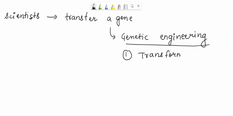 how-do-scientists-put-a-gene-of-one-organism-into-another-45048